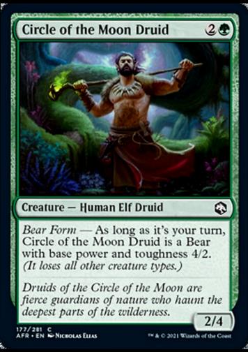 Circle of the Moon Druid (Druide des Zirkels des Mondes)